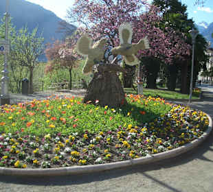 Frühling auf der Kurpromenade