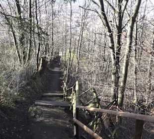 Wanderweg zur Achalm