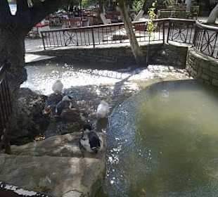 Manavgat Wasserfälle