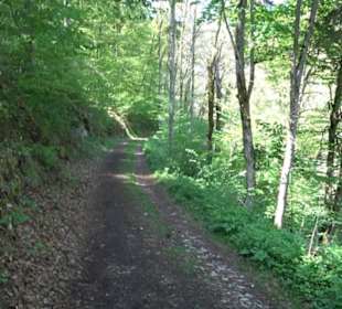 Premiumwanderweg Hochgehschätzt