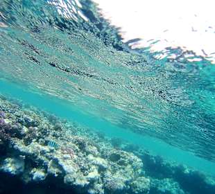 Schnorcheln Marsa Alam