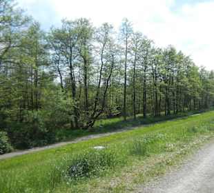 Naturschutzgebiet Boberger Niederung