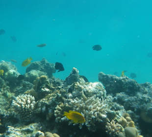 Schnorcheln Hurghada