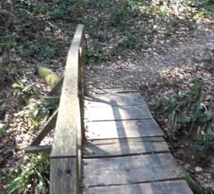 Grafenberger Brünnele