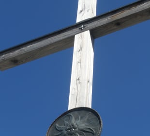 Bei unseren Wanderungen am Nebelhorn