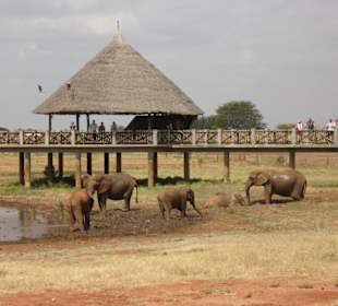 Angelegtes Wasserloch