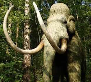 Mammut