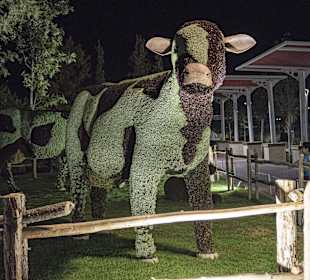 Milchkuh aus Pflanzen