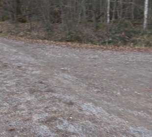 Steinbruch Bezenberg