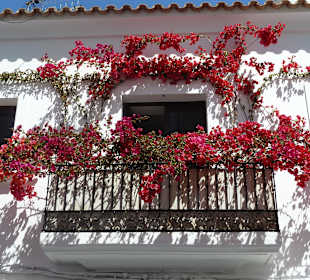 Ein Balkon des Südens