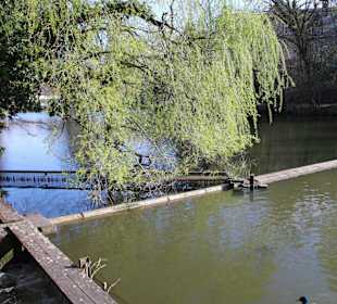 Idylle am Schlossgraben