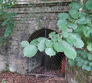 Eingang Beuststollen