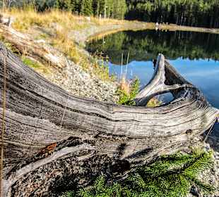 Wandern Reith im Alpbachtal