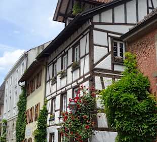 Altstadt Radolfzell