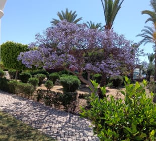 Stadtbesichtigung Hammamet-Yasmine