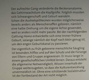 Rheinisches Landesmuseum