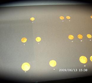 Danziger Goldmünzen