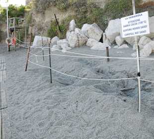 Maronti-Strand mit Fumarolen