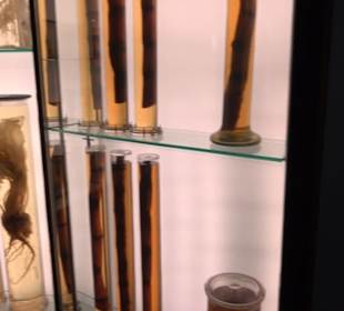 Deutsches Technikmuseum