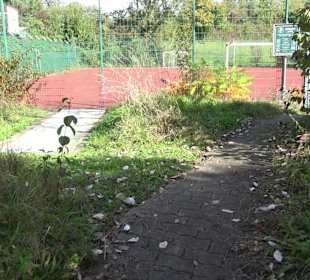 Ballspielplatz Tettnang