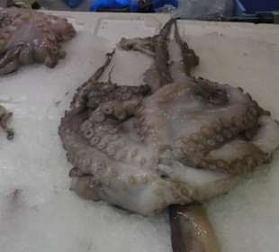 Unterwegs auf dem schönen Markt von Santa Cruz