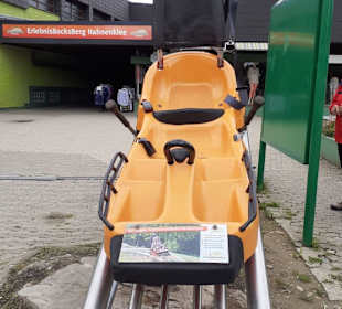 Sommerrodelbahn Bocksberg in Gosla