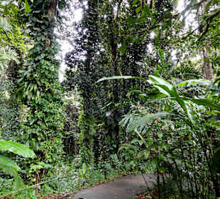 Impressionen aus den Jardins de Valombreuse