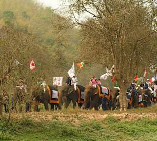 Einzug der Elefanten und Spieler