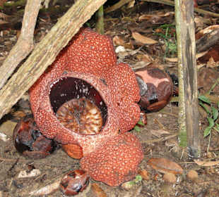 Ausflug Wildfife Expeditions