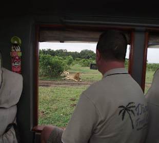 Game Drive - Diani Travel Centre 
