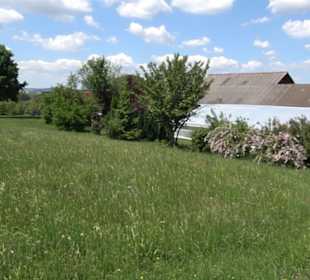 Kirche Liebfrauenhöhe Ergenzingen