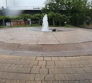 Bei einem Spaziergang entlang der Elbuferpromenade