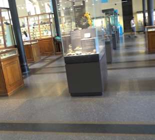 Museum für Naturkunde
