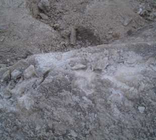 Salzstöcke am toten Meer