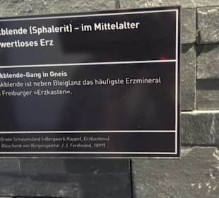 Museum Natur und Mensch