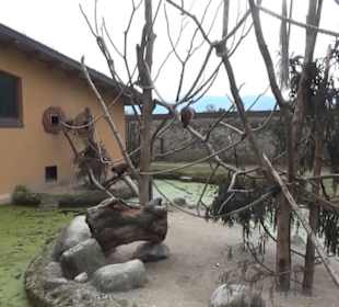 Südamerika Bereich - Südamerikahaus