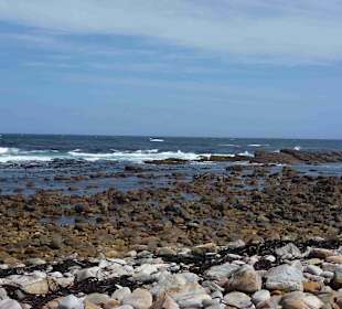 Kap der Guten Hoffnung