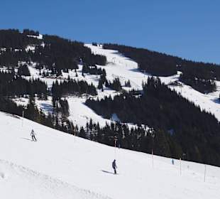 Die Pisten am Pründlkopf