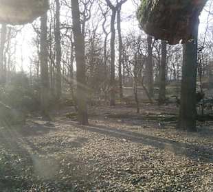 Wir suchten die Wölfe