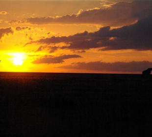 Sonnenuntergang in der Mara