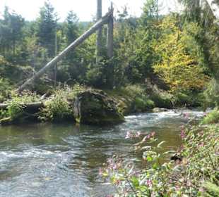 Von Bayerisch Eisenstein nach Ludwigsthal