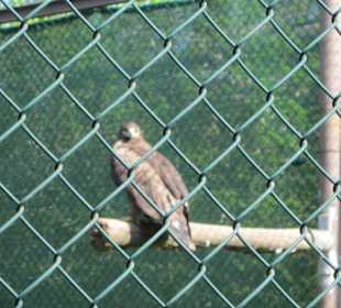 Vogelpark Neuthard