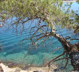 Blick vom Spazierweg rechts vom Bootsanleger