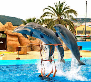 Marineland w Palafolls nieco za Blanes