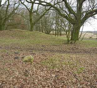 Naturschutzgebiet Boberger Niederung