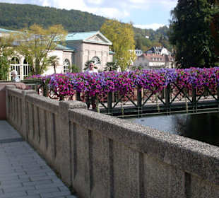 Hübsch bepflanzte Brücke