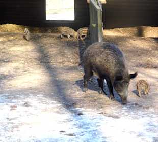 ImpressionOstern2013