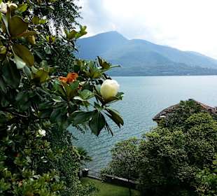 Der Comer See