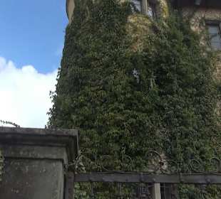 Schloss Königsegg Mittelzell