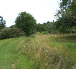 Premiumspazierweg Früchtetrauf-Leisawegle